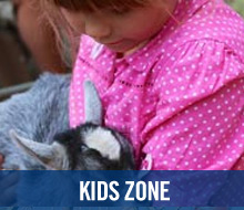 Kids Zone