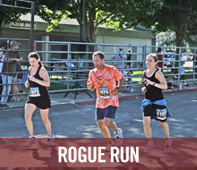 Rogue Run