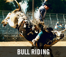 Bull Riding