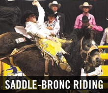 Saddle-Broc Riding