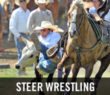 Steer Wrestling